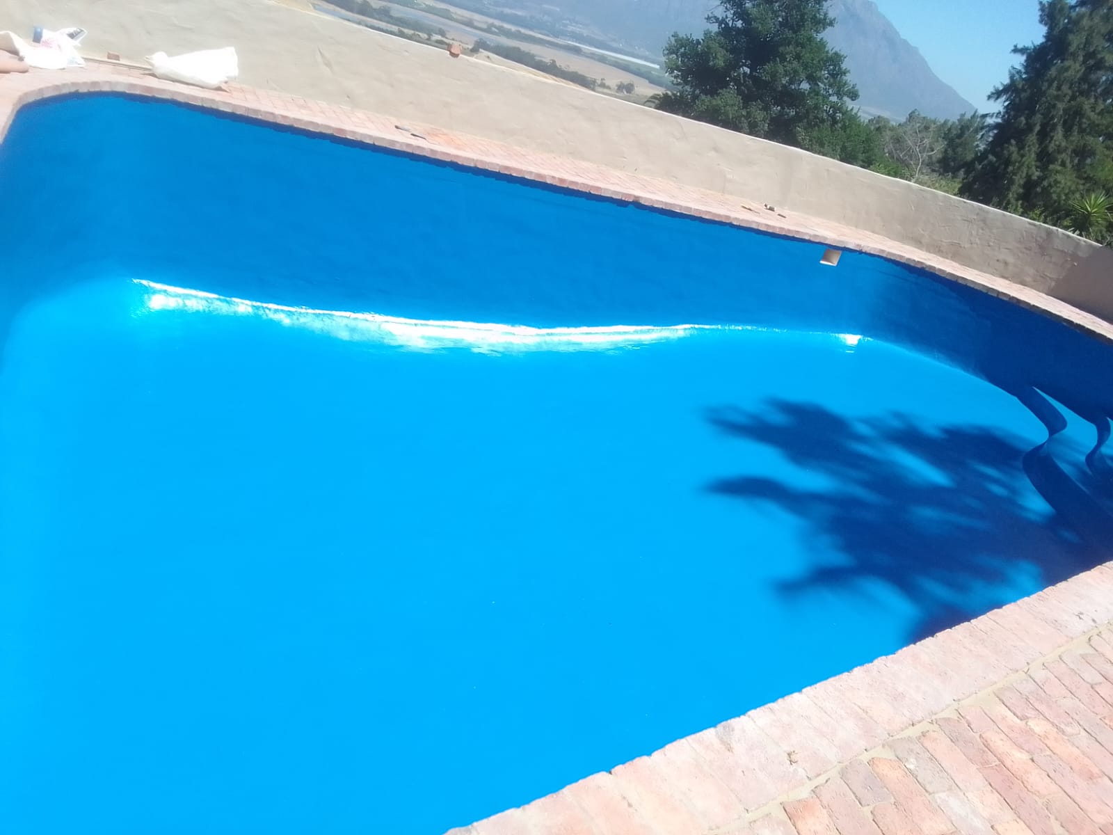 Vinyl Liner